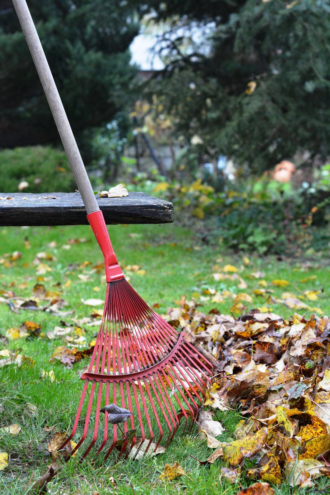Top 10 Things to Do Before the First Snow - Nave Newell